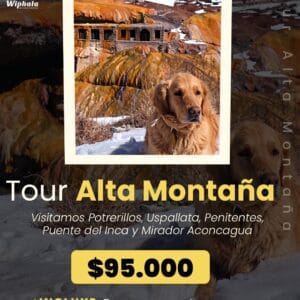 Alta Montaña por Potrerillos