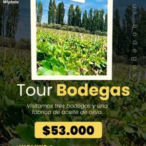 Bodegas y Olivícola