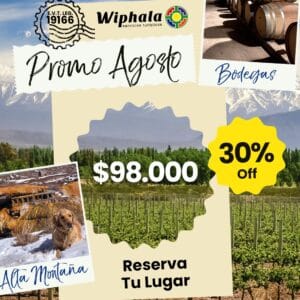 Alta Montaña + Bodegas y Olivicolas