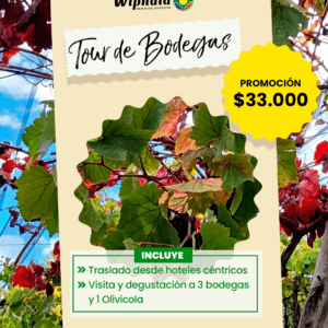 Tour Bodegas